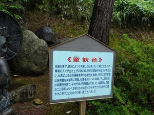 DSC06790_R