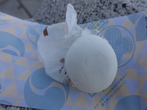 DSC08562_R