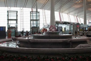 IMG_7035