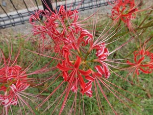 DSC06124_R