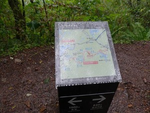 DSC08741_R