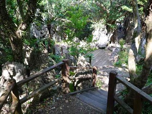 DSC05503_R
