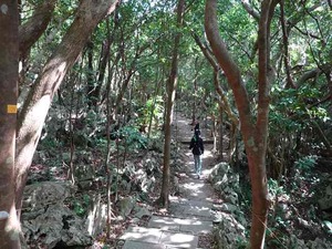 DSC05460_R