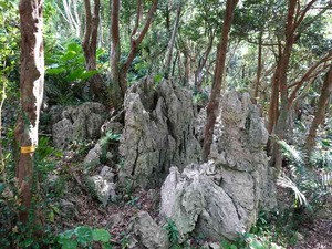 DSC05451_R