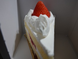 DSC07081_R