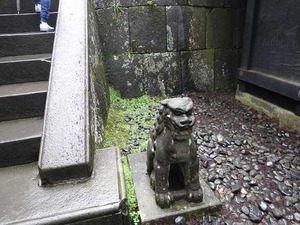 DSC08371_R