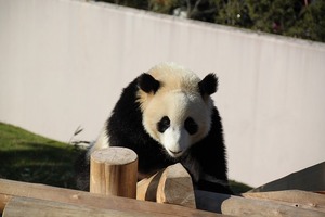 IMG_1644