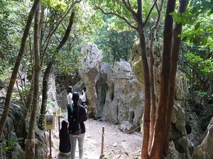 DSC05476_R