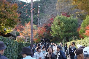 IMG_8907