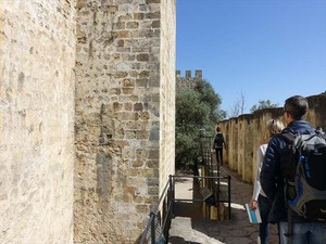 DSC07487_R