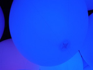 DSC07510_R