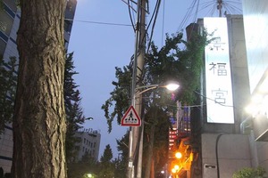 IMG_7398