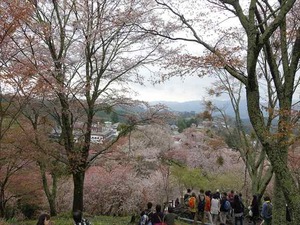 DSC08963_R