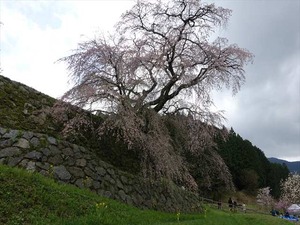 DSC08991_R