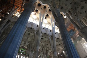 IMG_3510