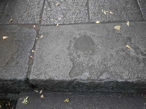 DSC07725_R