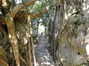 DSC05507_R