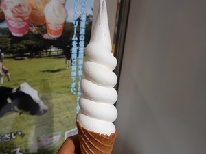 DSC04139_R