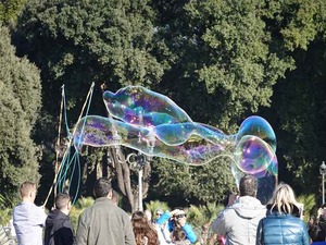 DSC03132_R