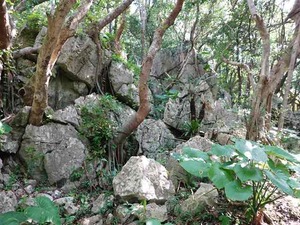 DSC05453_R