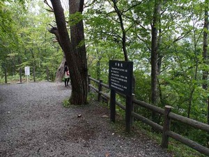 IMG_1037_R