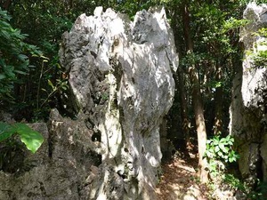 DSC05467_R