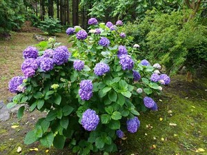 DSC06811_R