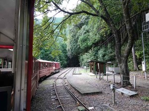 DSC06519_R