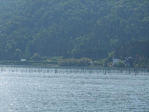 DSC03173_R