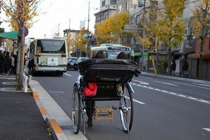 IMG_8895