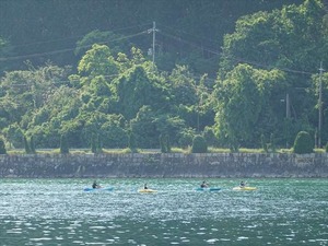 DSC03175_R
