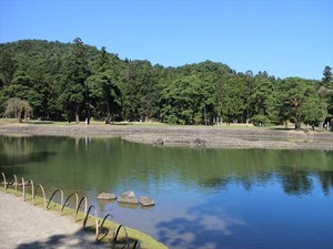 IMG_0945_R