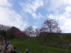 DSC08990_R