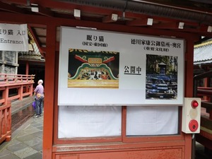 DSC08355_R