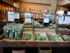 DSC03206_R