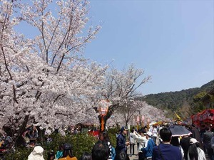 DSC09281_R