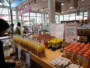 DSC08557_R