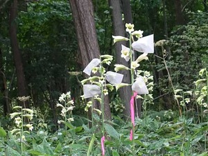 DSC09299_R