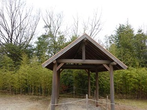 DSC04395_R
