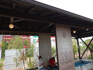 DSC08568_R