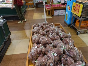 DSC08561_R