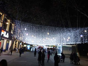 DSC01501_R