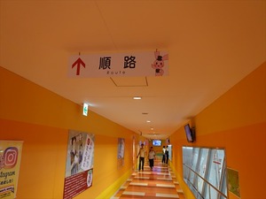 DSC08496_R