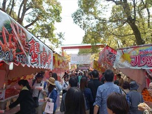 DSC09277_R