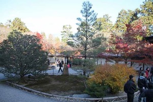 IMG_8932
