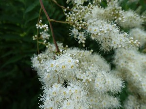 DSC09289_R