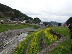 DSC08999_R