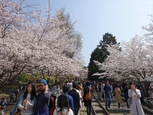 DSC09334_R