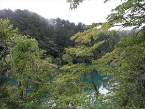 DSC08758_R