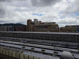 DSC01009_R